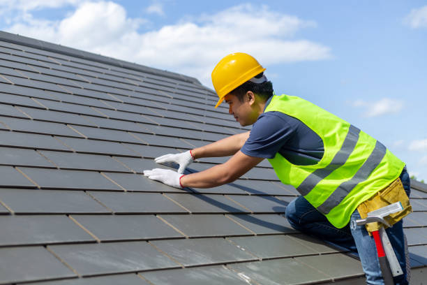 Best Storm Damage Roof Repair  in Painesville, OH