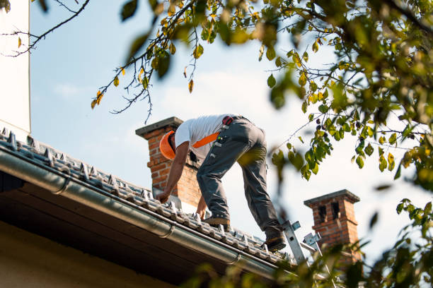 Best Flat Roof Repair Services  in Painesville, OH