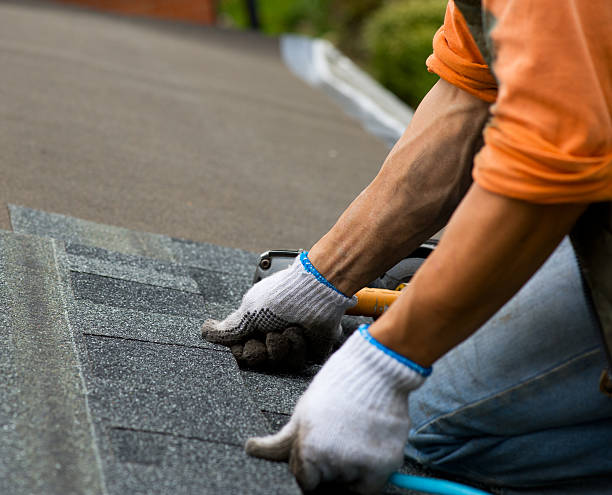 Best Roof Restoration Services  in Painesville, OH