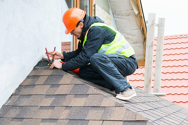 Best Residential Roofing Contractor  in Painesville, OH