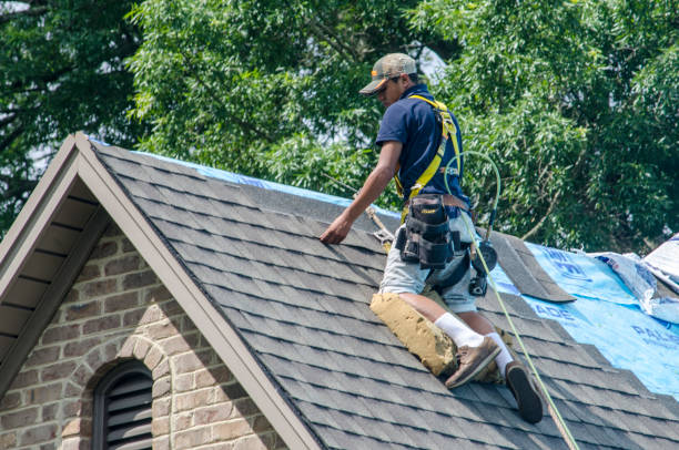 Best Residential Roofing Contractor  in Painesville, OH